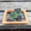 Natural Fluorite Octahedron Duo, Diamonds, Platonic Solids, Sacred Geometry - Image 10