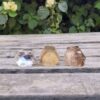 Quartz Generator Trio, Clear Quartz, Citrine, Smoky Quartz, Points / Towers - Image 4