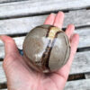 Septarian Sphere & Dragon Claw Stand, Transformation, Peace, Ancestor Connection - Image 8