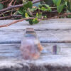 Fluorite Generator & Octahedron Combo, Soul Purpose, Intuition, Clarity, Truth - Image 8