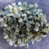 Prehnite w/ Epidote Chip Stones Lot, Gridding, Crafting, Gifting, Intuition, Success - Image 2