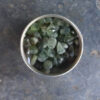 Prehnite w/ Epidote Chip Stones Lot, Gridding, Crafting, Gifting, Intuition, Success - Image 3