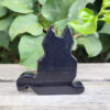 Black Obsidian Cat, Protection, Detoxifying, Inner Strength, New Horizons - Image 3