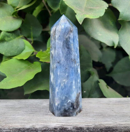 Blue Kyanite Generator S / Point, Balance, Alignment, Wisdom, Highest Good, Truth