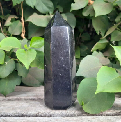 Black Tourmaline Generator / Point / Tower, Protection, Vitality, Stability