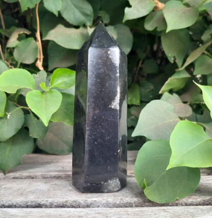 Black Tourmaline Generator / Point / Tower, Protection, Vitality, Stability