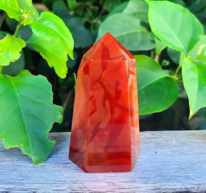 Carnelian Generator / Point / Tower, Vitality, Motivation, Courage, Confidence