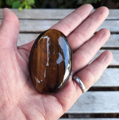 Tiger's Eye Palm Stone, Mental Clarity, Courage, Luck, Wealth, Calming