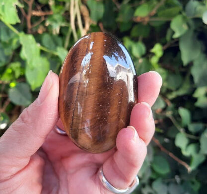 Tiger's Eye Palm Stone, Mental Clarity, Courage, Luck, Wealth, Calming