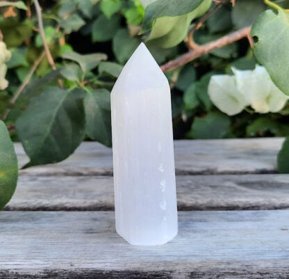 Selenite (Satin Spar) Generator M / Point, Higher Realm Connection, Clearing