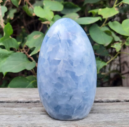 Celestite Free Form / Pillar, Angelic/Guides & Higher Self Connection, Uplifting