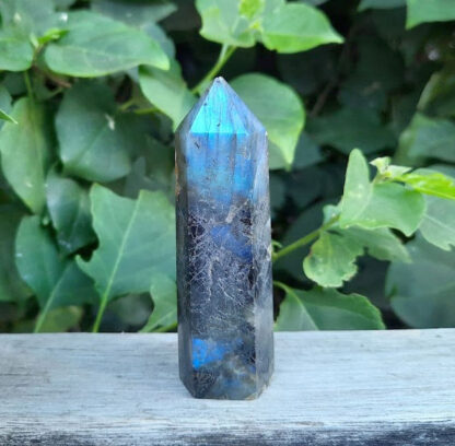 Labradorite Generator / Point / Tower, Transformation, Higher Realm Connection