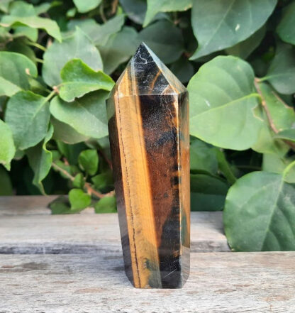 Tiger's Eye Generator/Point/Tower, Mental Clarity, Courage, Luck, Wealth, Calming