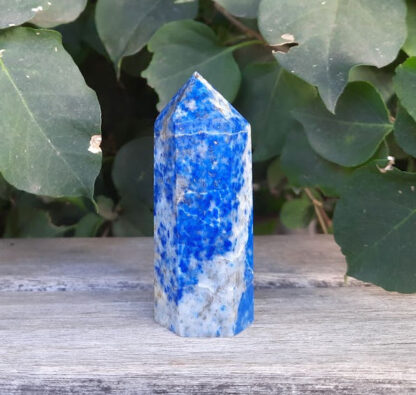 This includes the Lapis Lazuli Generator shown in the pics. It’s approximately 2.80 x 1.10”, includes the drawstring pouch and a gift box. Color variances, nicks, and cracks, are the nature of genuine gemstones and crystals.