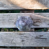 Iolite Generator / Tower / Point,  Intuition, Vision, Divine Peace, Healing - Image 10