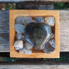 Labradorite Heart Set, Transformation, Higher Realm Connection, Full Potential - Image 2