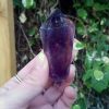 Amethyst Double Terminated Wand / Point, DT, Spiritual Awareness, Peace, Calming - Image 2