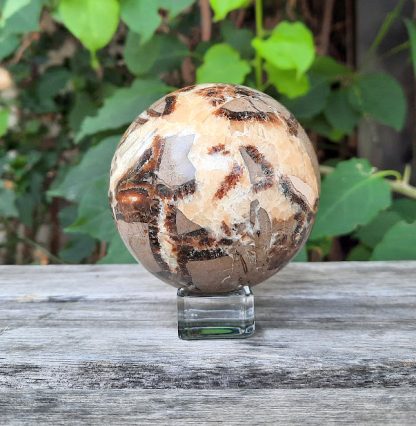 Septarian Sphere w/ stand, Transformation, Peace, Ancestral Connection